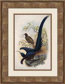 Antique Art For Sale