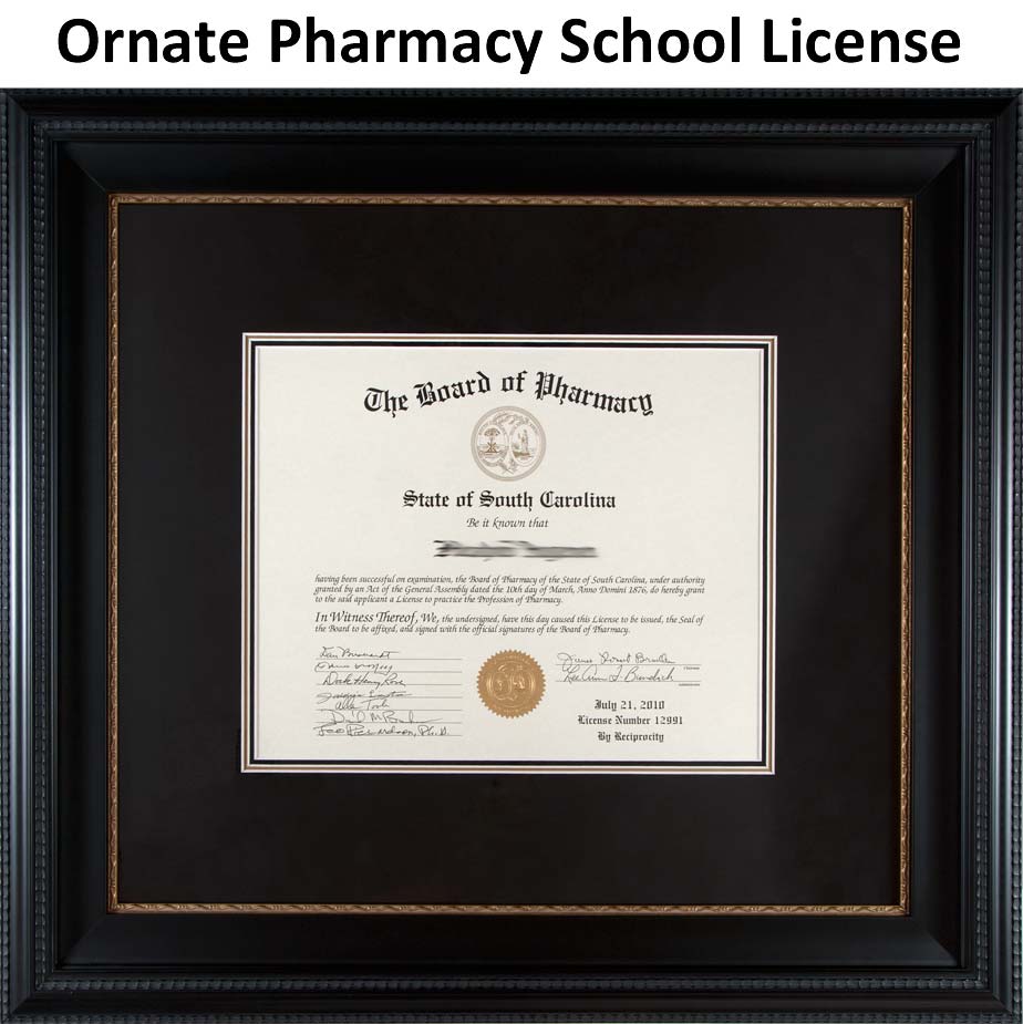 Ornately Framed Pharmacy License Example